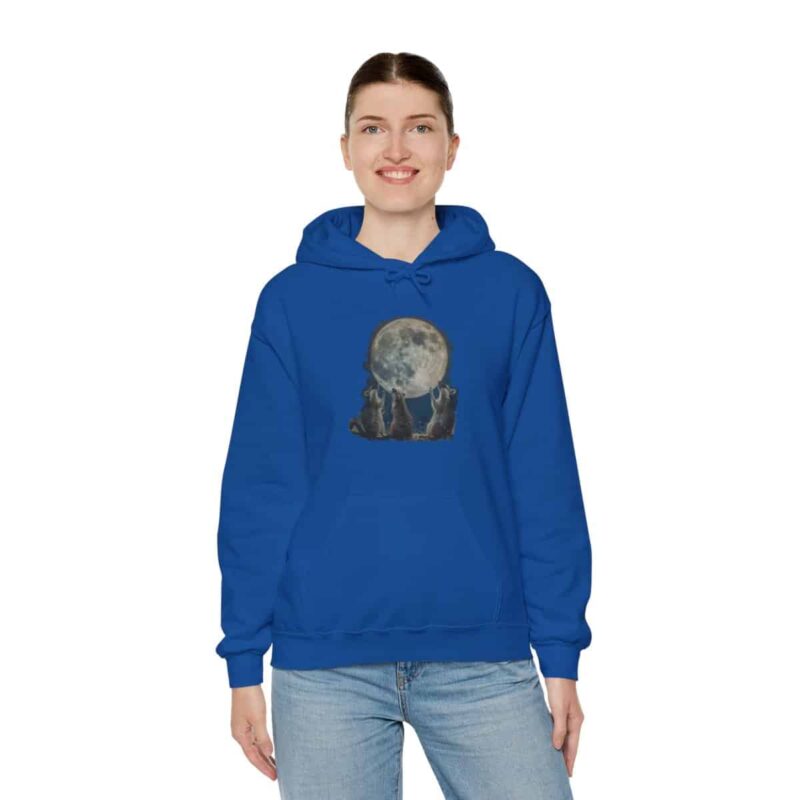 Vintage Retro Raccoon Moon Funny Hoodie