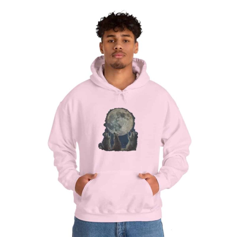 Vintage Retro Raccoon Moon Funny Hoodie