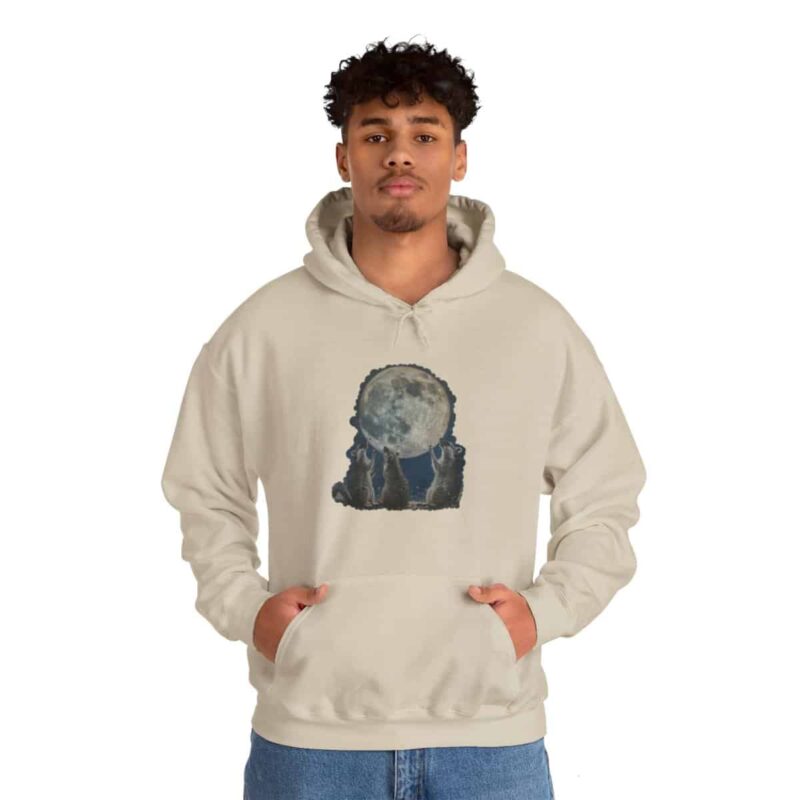 Vintage Retro Raccoon Moon Funny Hoodie