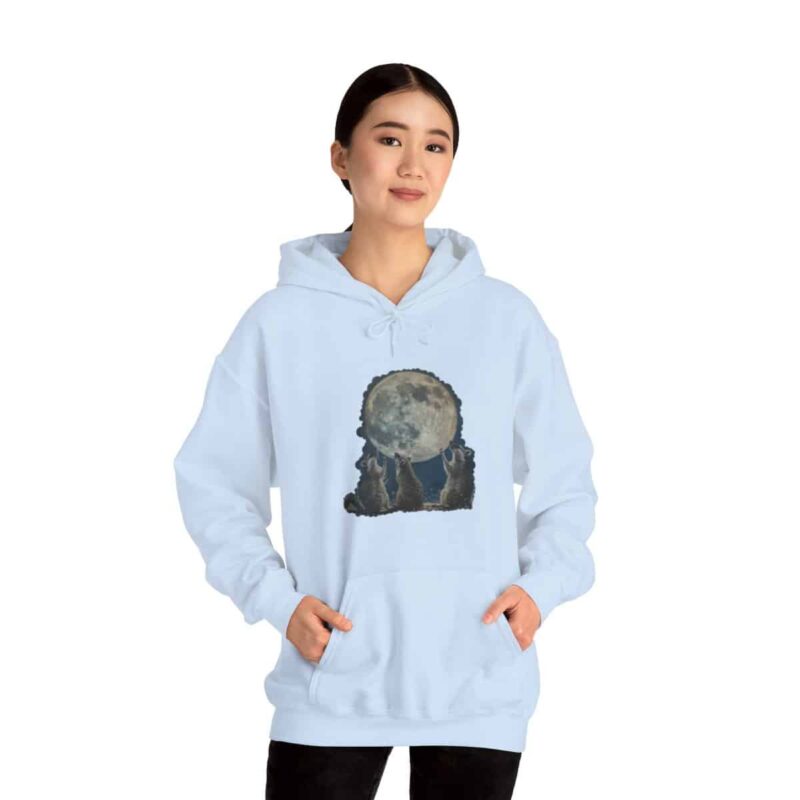 Vintage Retro Raccoon Moon Funny Hoodie