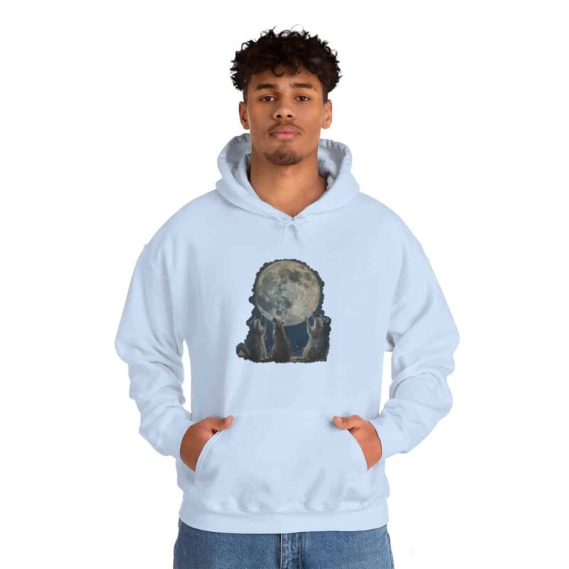 Vintage Retro Raccoon Moon Funny Hoodie