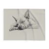 American Hairless Terrier Arctic Fleece Blanket