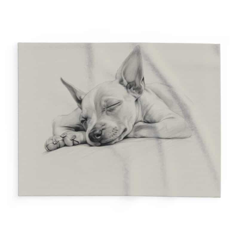 American Hairless Terrier Arctic Fleece Blanket