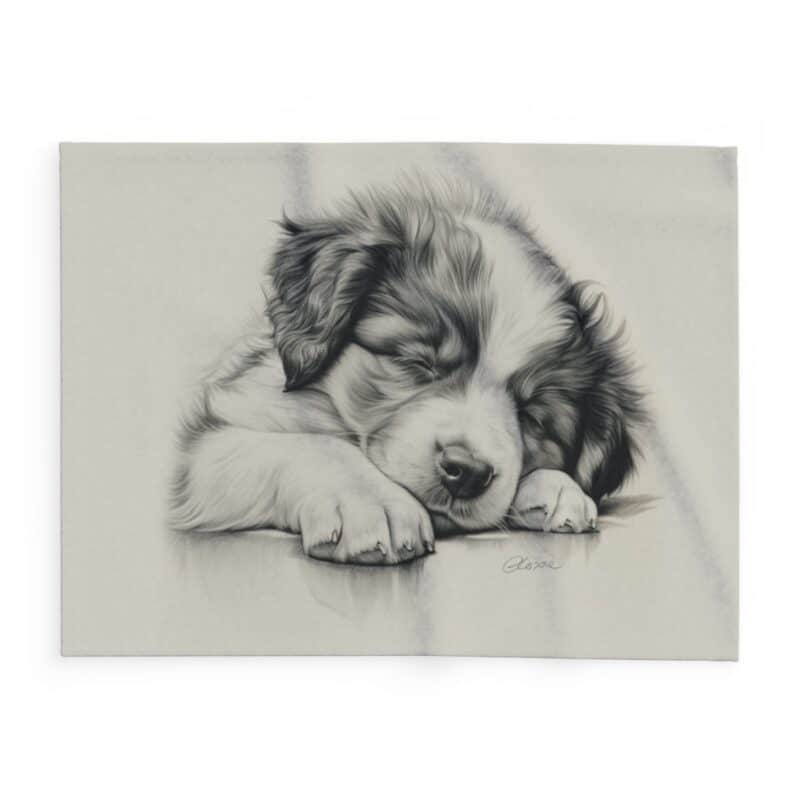 Australian Shepherd Dog Arctic Fleece Blanket