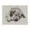 Anatolian Shepherd Dog Arctic Fleece Blanket