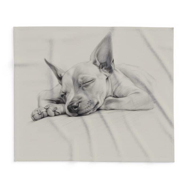 American Hairless Terrier Arctic Fleece Blanket