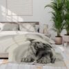 Anatolian Shepherd Dog Arctic Fleece Blanket