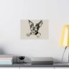 Boston Terrier Fine Art Print