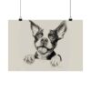 Boston Terrier Fine Art Print