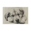 Anatolian Shepherd Dog Flag