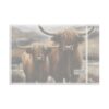 Highland Cows Flag