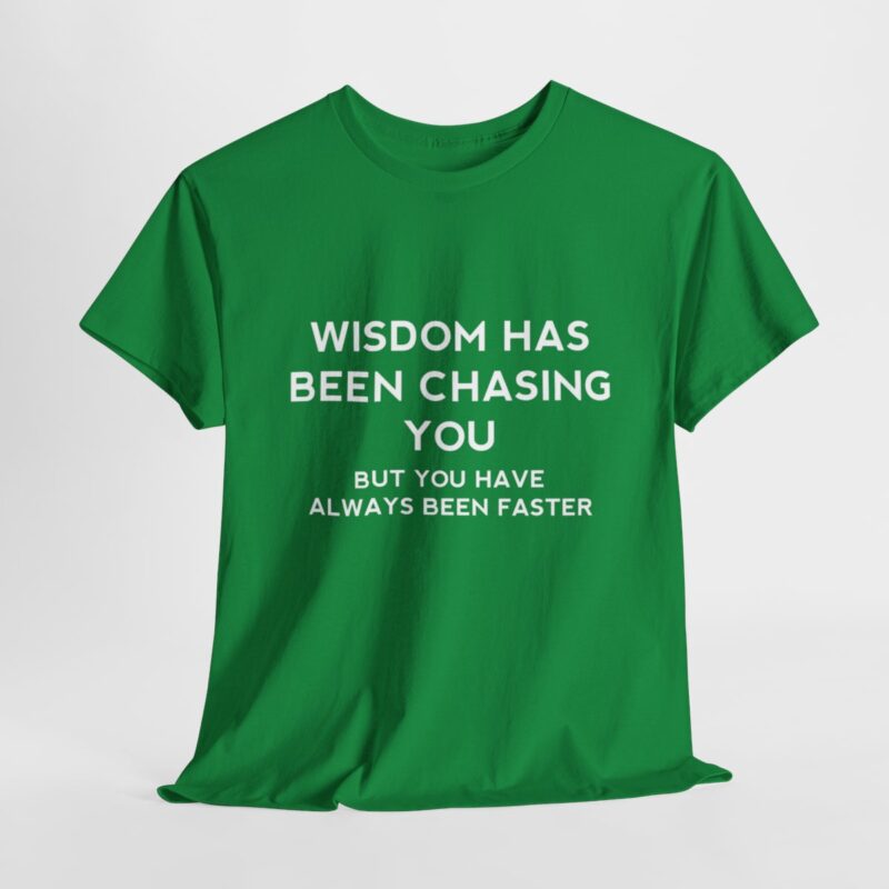 Chasing Wisdom Funny T-Shirt