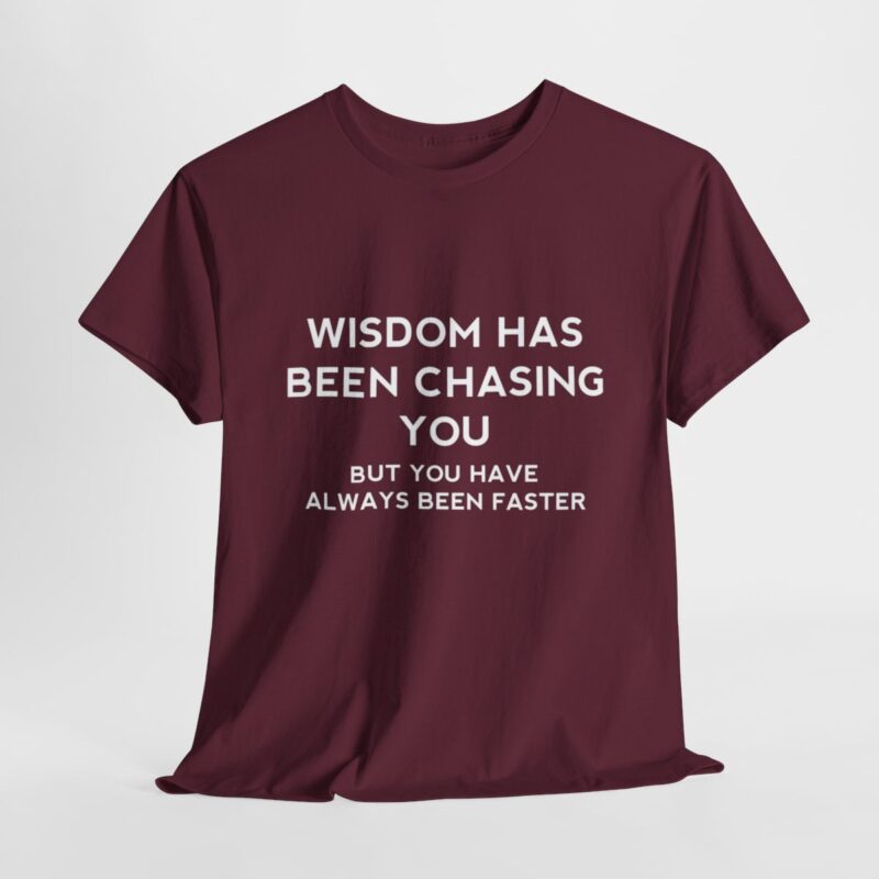 Chasing Wisdom Funny T-Shirt