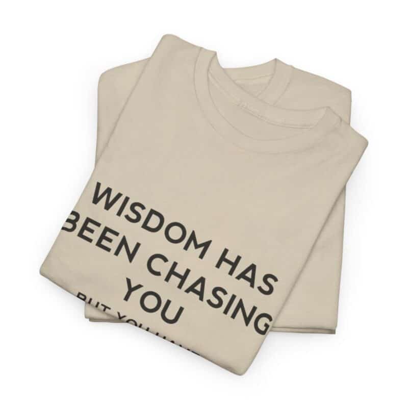 Chasing Wisdom Funny T-Shirt