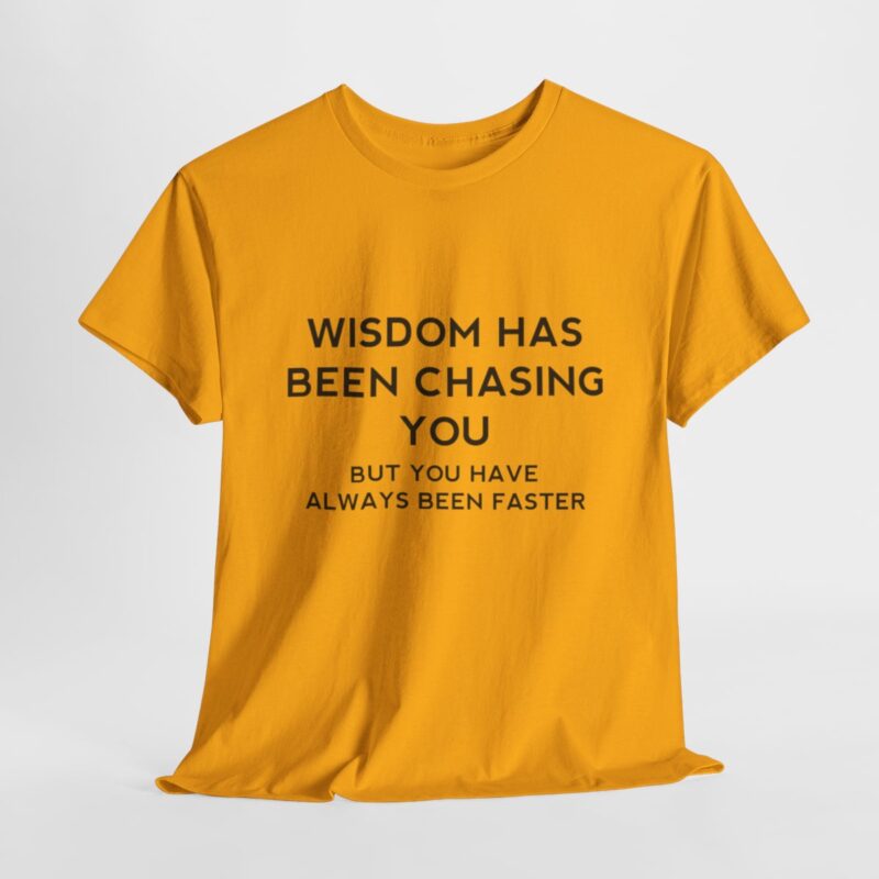 Chasing Wisdom Funny T-Shirt