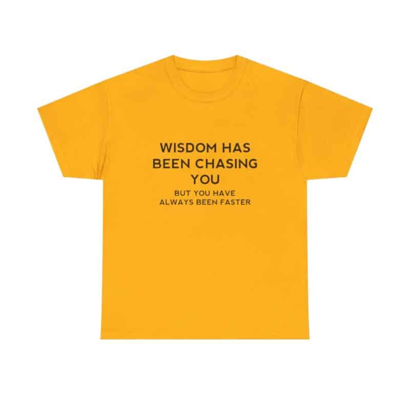 Chasing Wisdom Funny T-Shirt