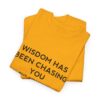 Chasing Wisdom Funny T-Shirt