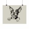 Boston Terrier Fine Art Print