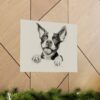 Boston Terrier Fine Art Print