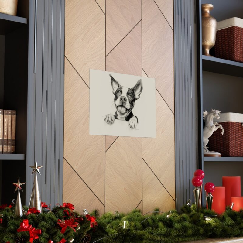 Boston Terrier Fine Art Print