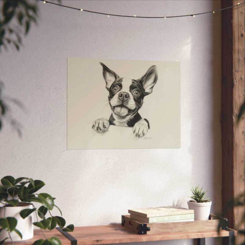 Boston Terrier Fine Art Print