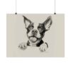 Boston Terrier Fine Art Print