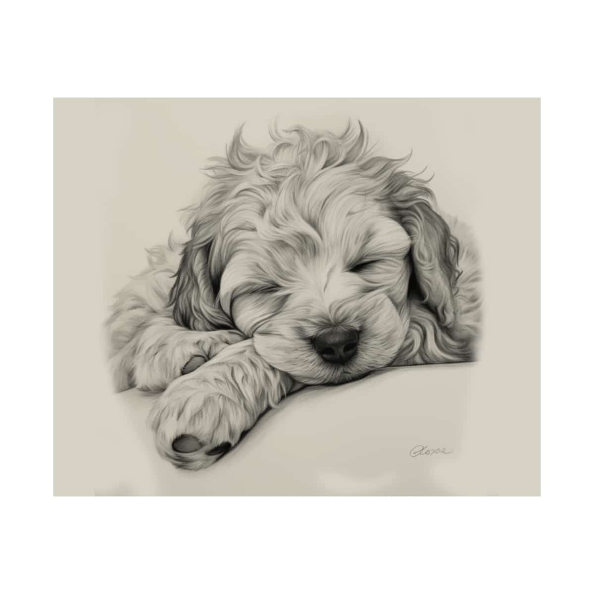 Cockapoo Fine Art Print