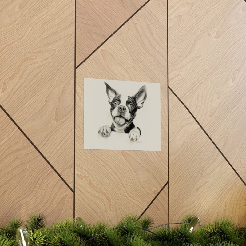 Boston Terrier Fine Art Print