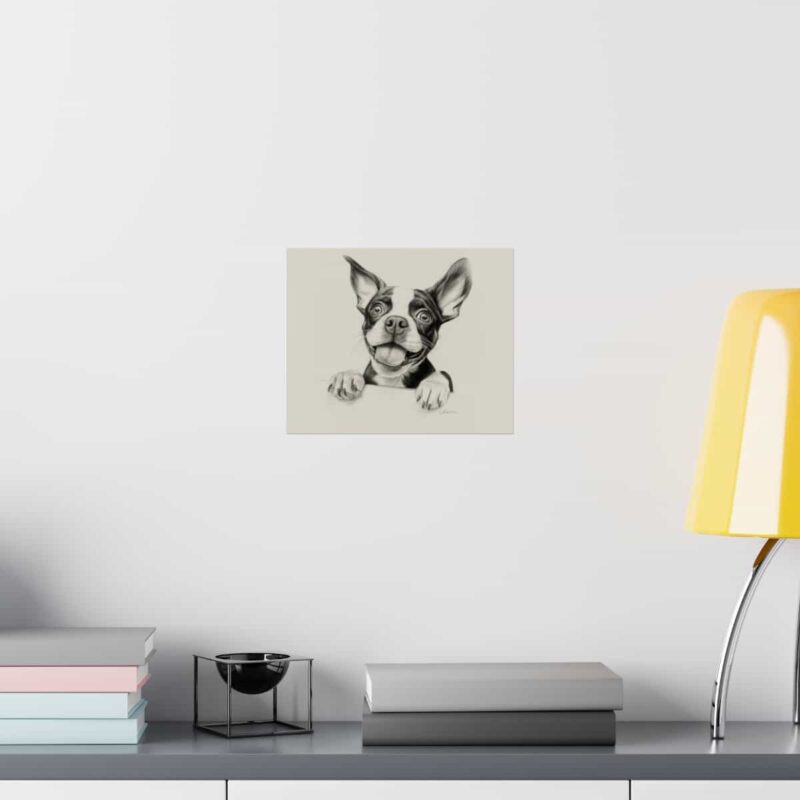 Boston Terrier Fine Art Print