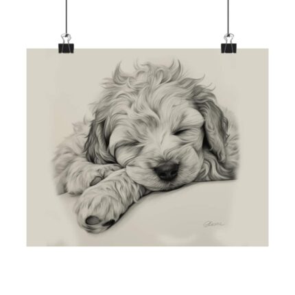 Cockapoo Fine Art Print