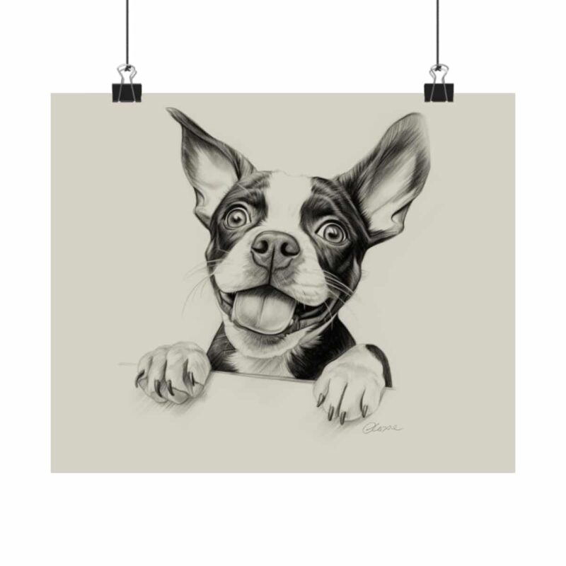 Boston Terrier Fine Art Print