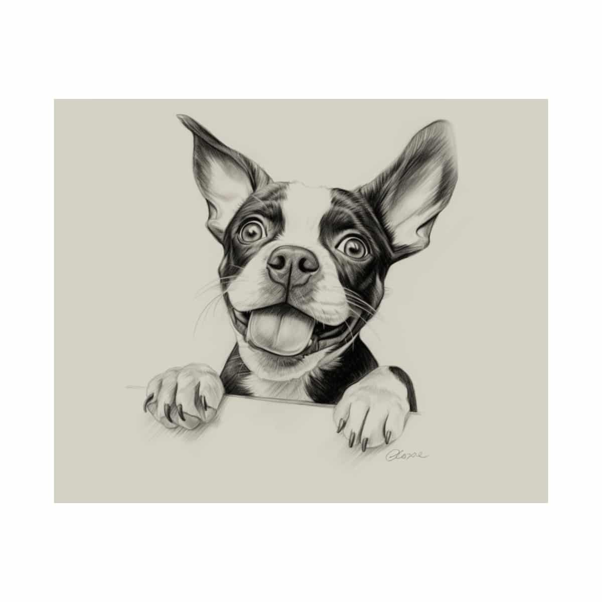 Boston Terrier Fine Art Print