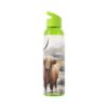 Highland Cows Sky Water Bottle