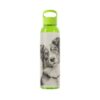 Australian Shepherd Dog Sky Water Bottle