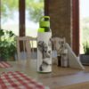 Australian Shepherd Dog Sky Water Bottle