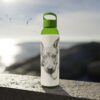 American Hairless Terrier Sky Water Bottle