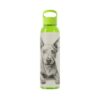 American Hairless Terrier Sky Water Bottle