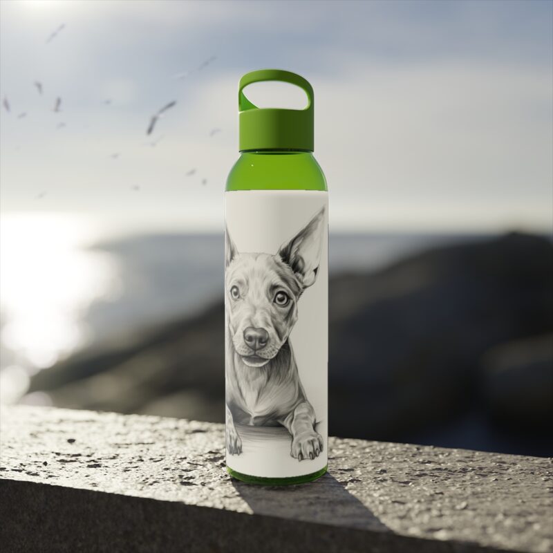 American Hairless Terrier Sky Water Bottle