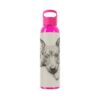 American Hairless Terrier Sky Water Bottle