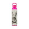 American Hairless Terrier Sky Water Bottle