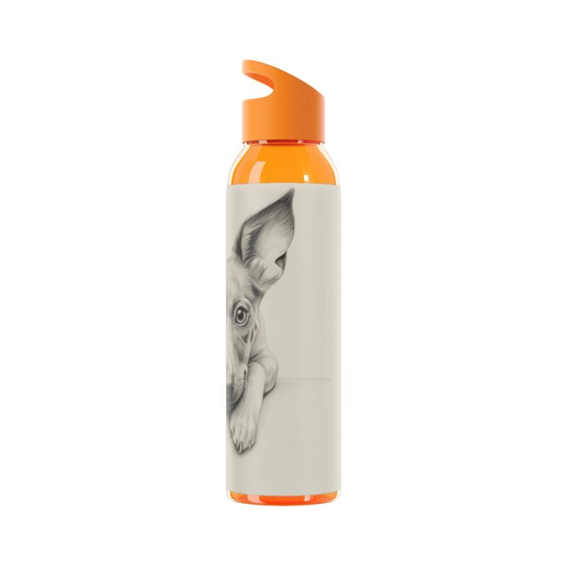 American Hairless Terrier Sky Water Bottle