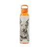 American Hairless Terrier Sky Water Bottle