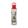 American Hairless Terrier Sky Water Bottle