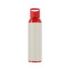 American Hairless Terrier Sky Water Bottle