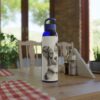 Australian Shepherd Dog Sky Water Bottle