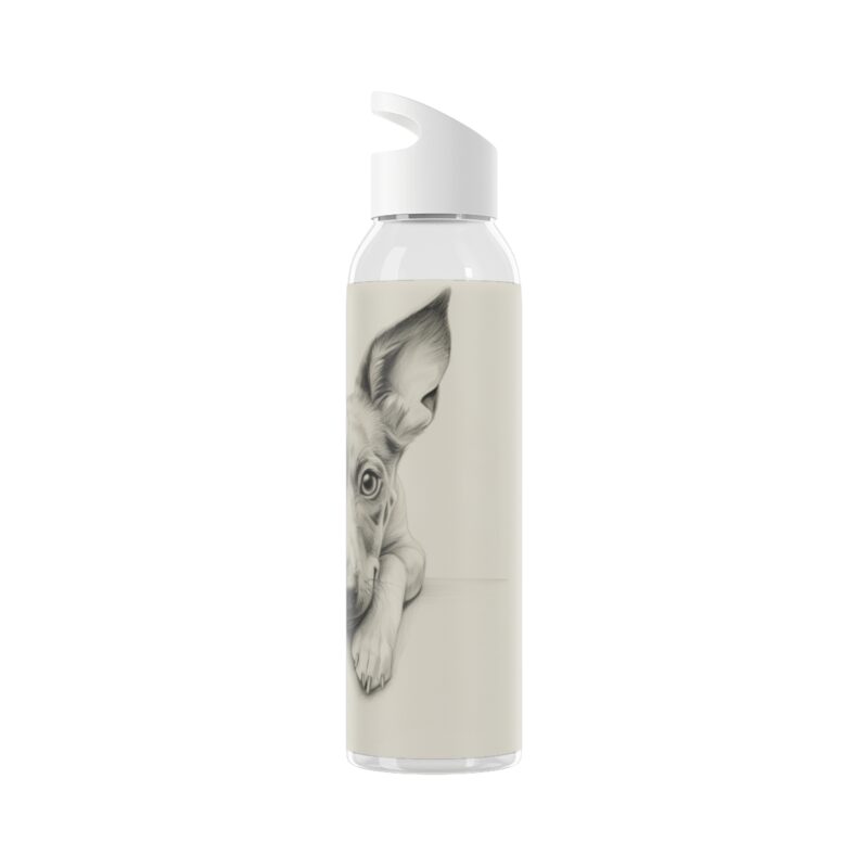 American Hairless Terrier Sky Water Bottle