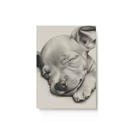 American Hairless Terrier Hard-Backed Journal