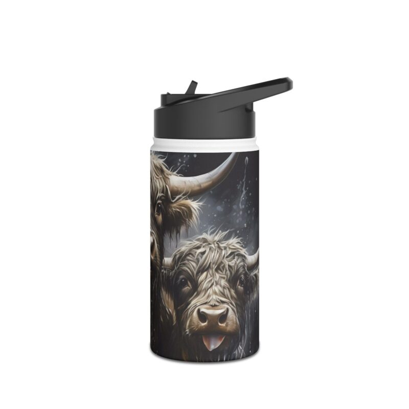 Highland Cows Stainless Steel Water Bottle