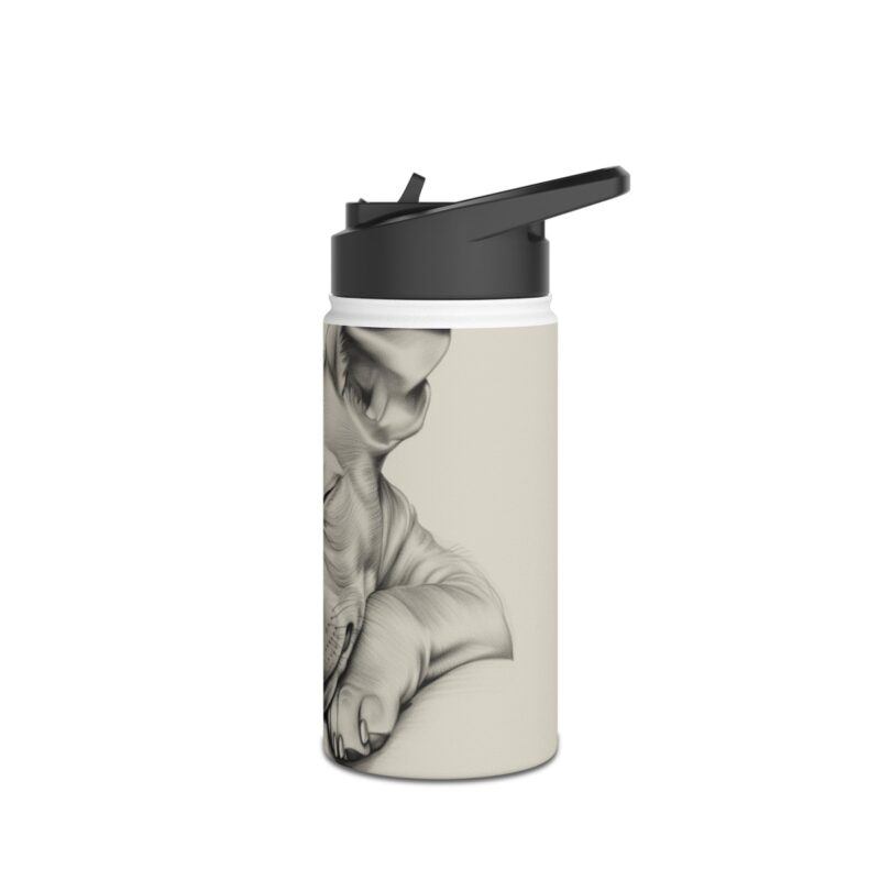 American Hairless Terrier Stainless Steel Water Bottle