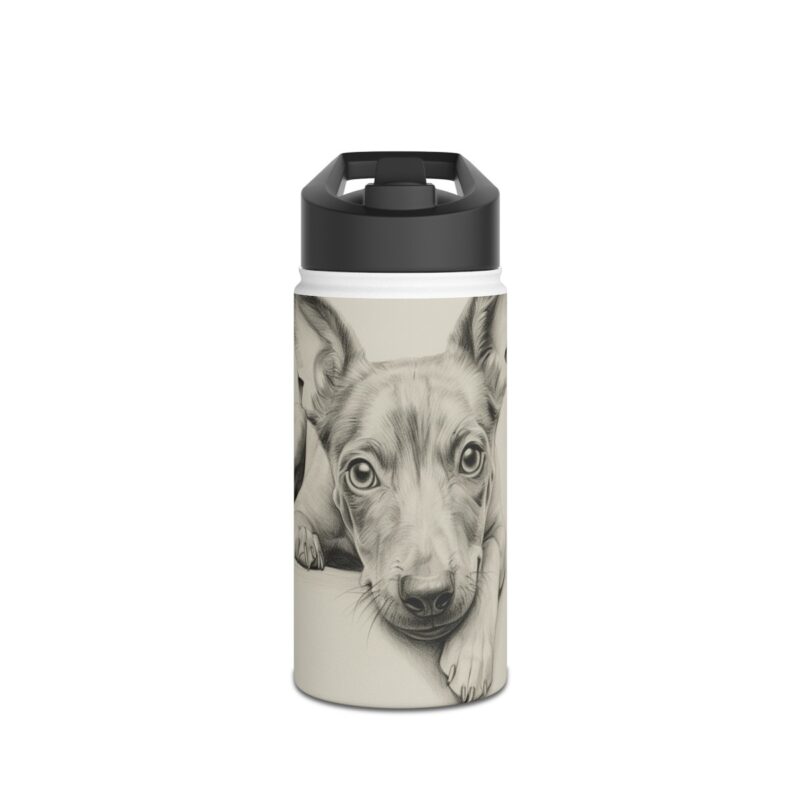 American Hairless Terrier Stainless Steel Water Bottle